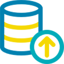 data icon